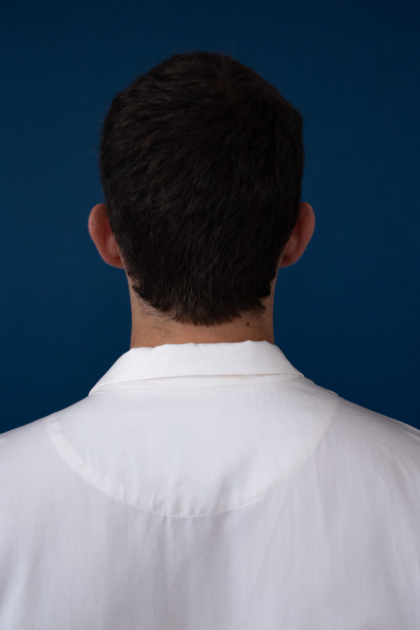 CAMISA SCULPTURES