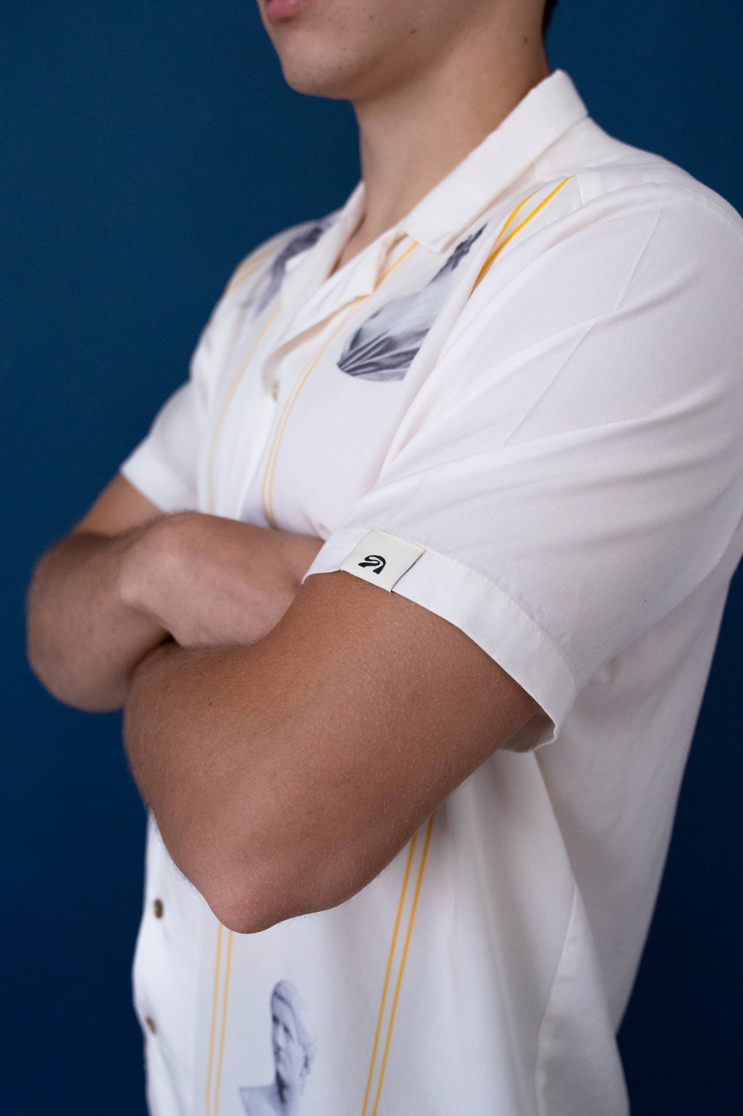 CAMISA SCULPTURES